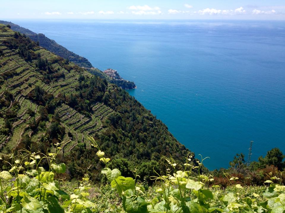 Escursione sentiero Manarola Corniglia, Cinque Terre