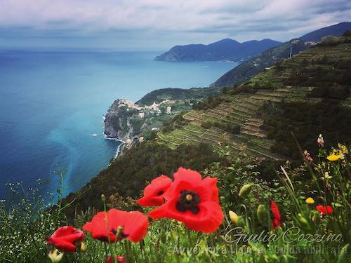 Cinque Terre sentiero Manarola Volastra Corniglia