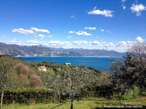 Escursioni nel Parco di Portofino, panorama sul Tigullio